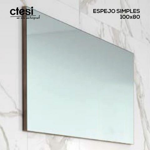 CTESI ESPEJO SIMPLES 100X70 TRASERA GRIS